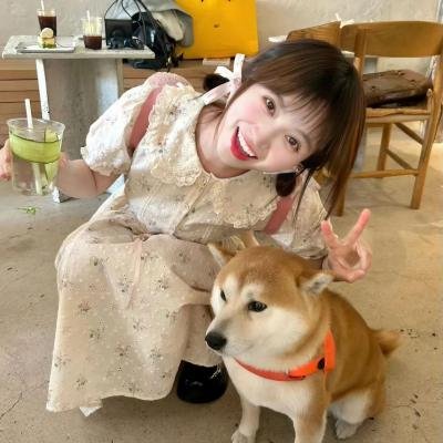 卧虎藏龙
